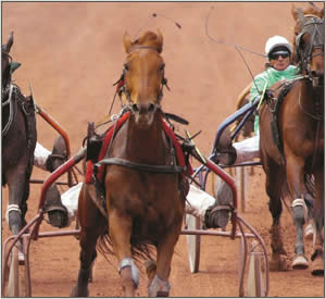 Course de trot